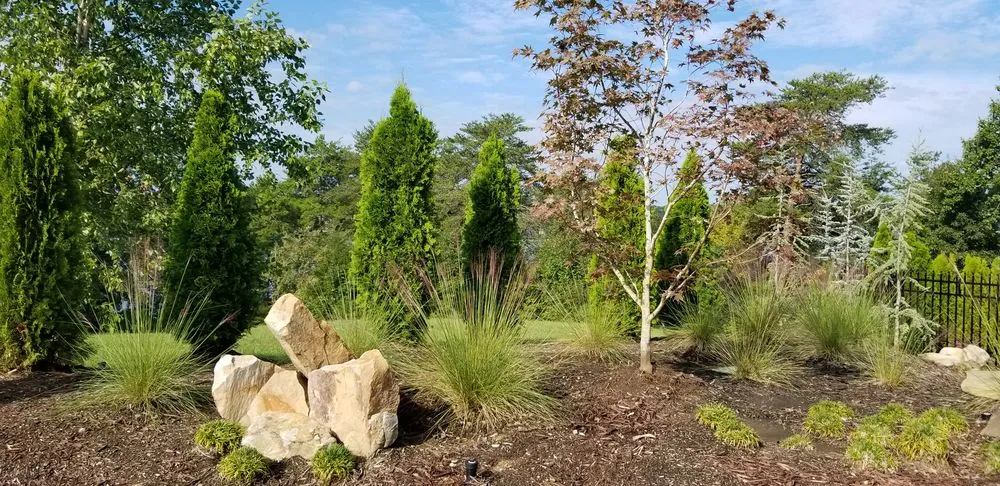 Professional landscape installation in Tellico Plains, TN by A New Hope Lawn Care and Landscaping