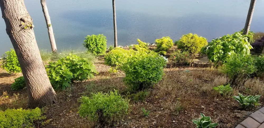 Custom landscape design for beautiful yards in Tellico Plains, TN by A New Hope Lawn Care and Landscaping