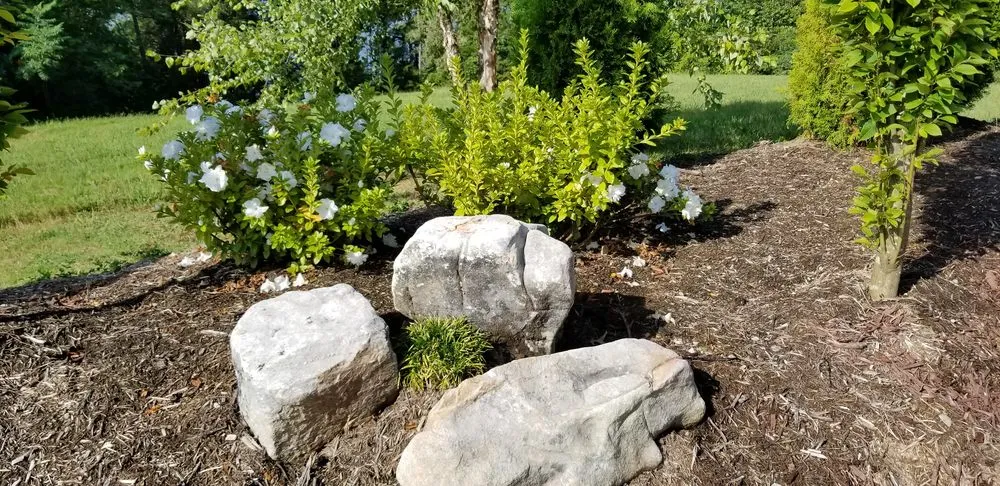 Affordable landscaping services for homes in Tellico Plains, TN by A New Hope Lawn Care and Landscaping