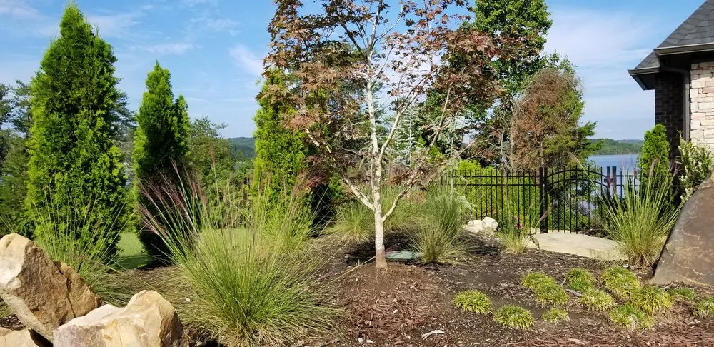 Trusted residential landscaping in Tellico Plains, TN by A New Hope Lawn Care and Landscaping