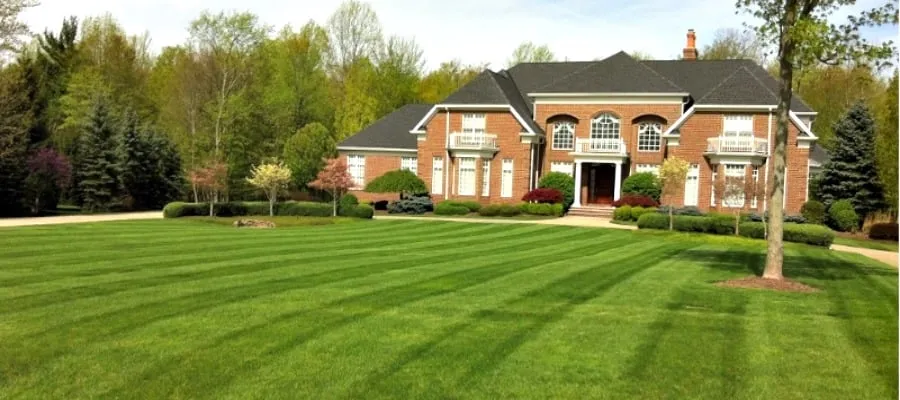 Trusted yard cleanup service in Valley City, OH - A New Image Landscape