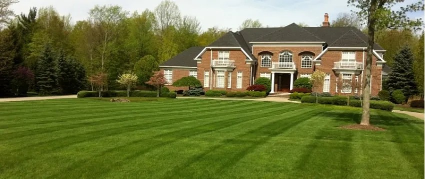 Trusted yard maintenance in Valley City, OH by A New Image Landscape