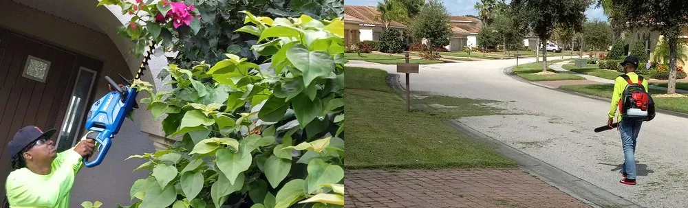 Professional yard maintenance in Kissimmee, FL - A New Leaf Home Services