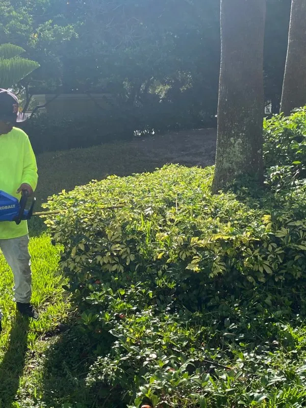 Affordable landscape installation near you in Kissimmee, FL by A New Leaf Home Services