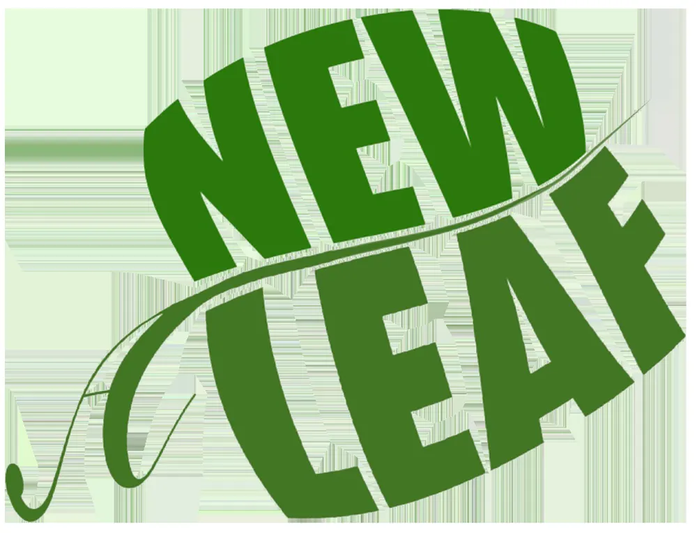 Local landscaping services experts serving Kissimmee, FL - A New Leaf Home Services