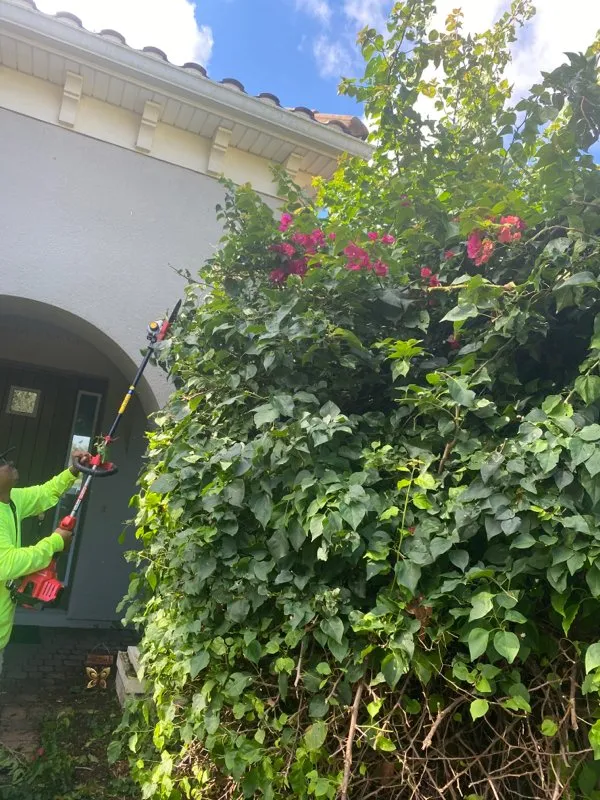 Expert lawn mowing service for year-round maintenance across Kissimmee, FL - A New Leaf Home Services