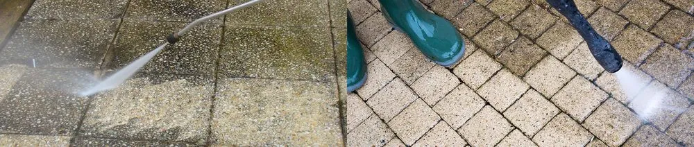 Custom landscape design for homes in Kissimmee, FL by A New Leaf Home Services