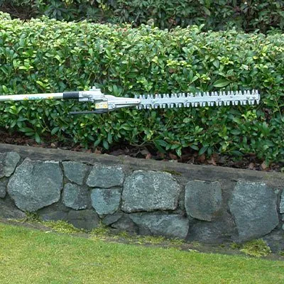 Professional landscaping services experts serving Kissimmee, FL - A New Leaf Home Services