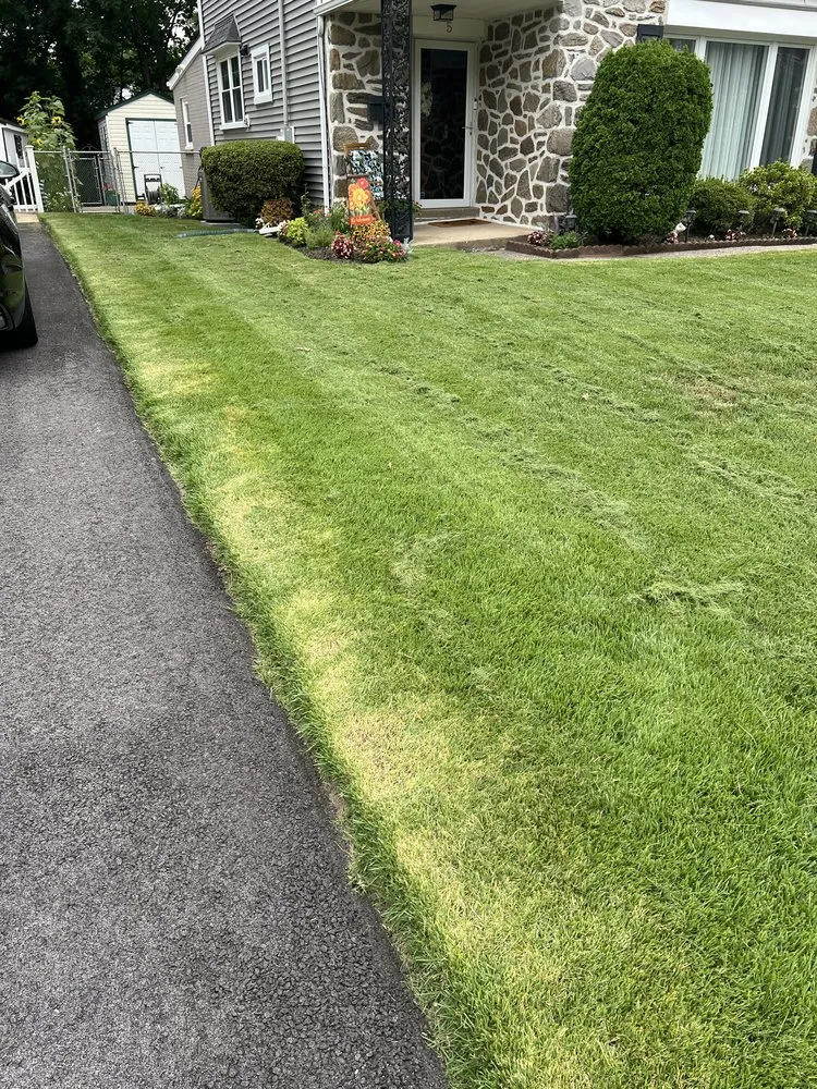 Reliable yard maintenance in East Lansdowne, PA - A New Leaf Landscaping and Cleaning
