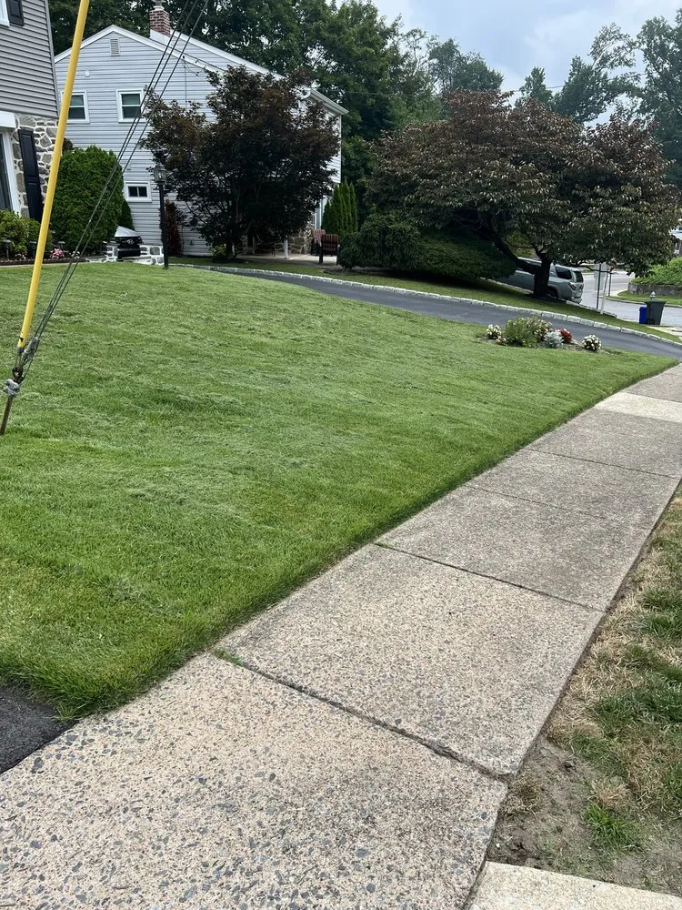 Reliable landscape installation for year-round maintenance in East Lansdowne, PA by A New Leaf Landscaping and Cleaning