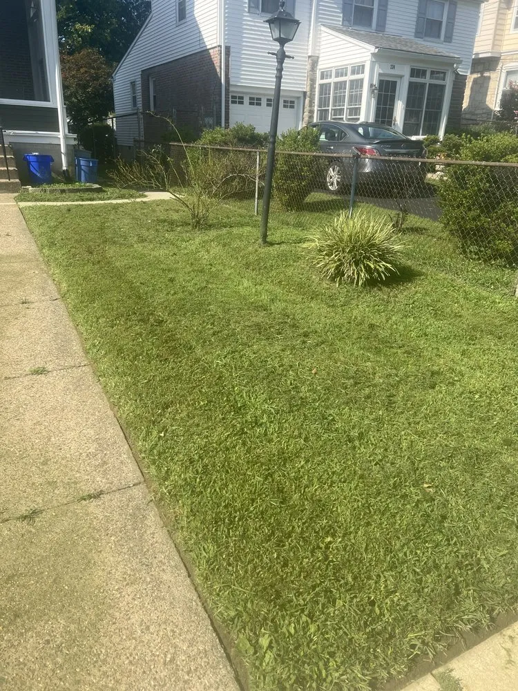 Trusted yard cleanup service in East Lansdowne, PA - A New Leaf Landscaping and Cleaning