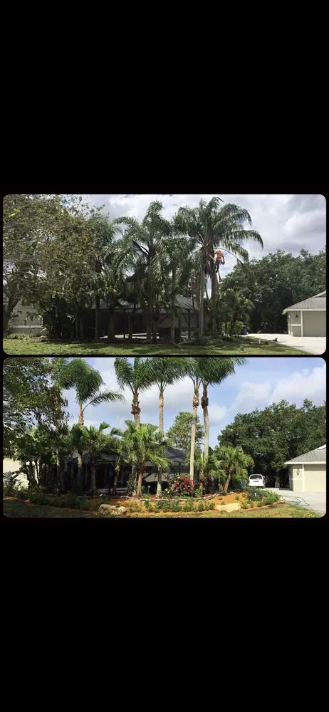 Trusted yard maintenance for beautiful yards in Loxahatchee, FL by A New Leaf Landscaping