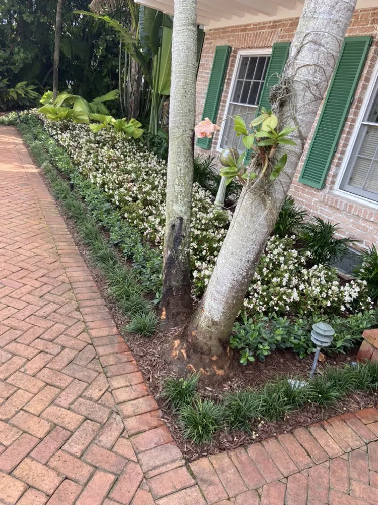 Trusted outdoor landscaping with custom design in Loxahatchee, FL by A New Leaf Landscaping