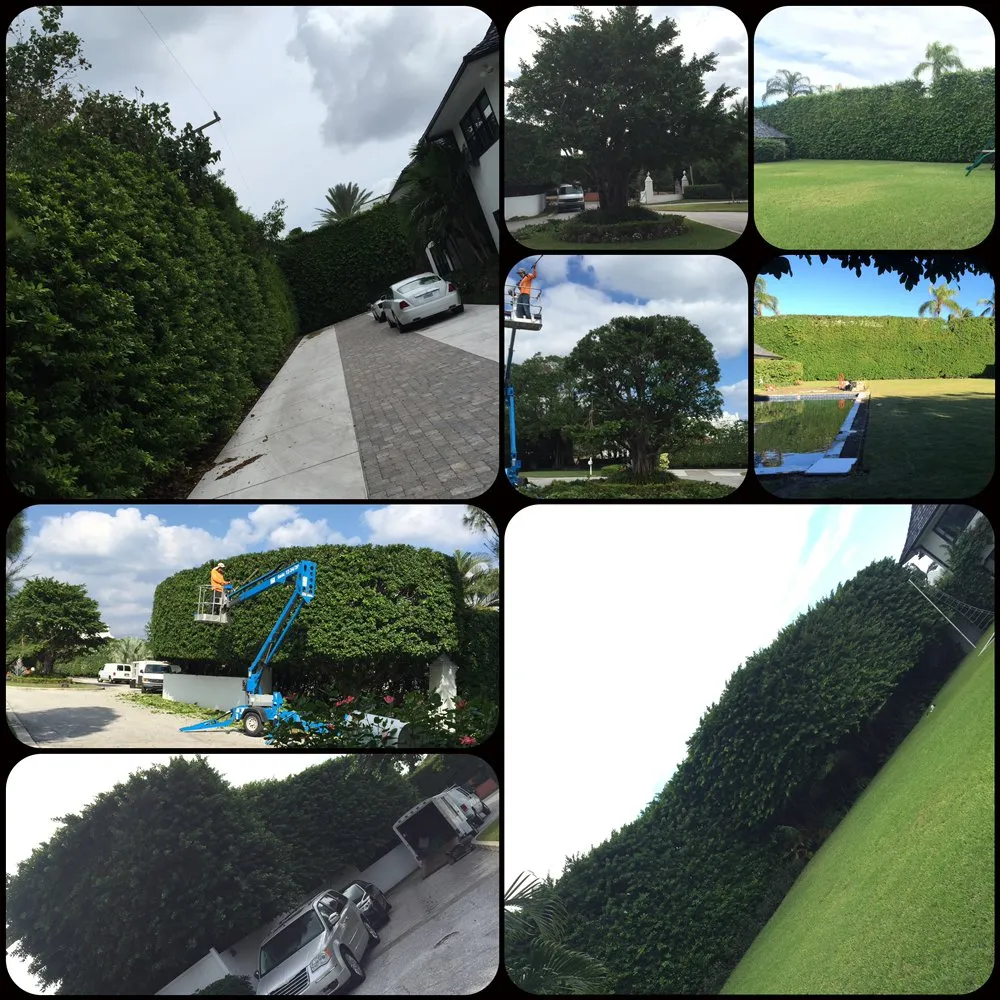 Custom lawn care service experts serving Loxahatchee, FL - A New Leaf Landscaping