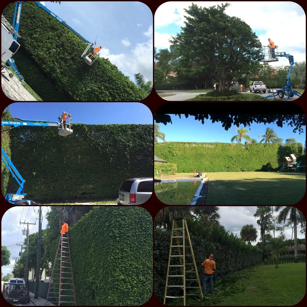 Local residential landscaping with custom design across Loxahatchee, FL - A New Leaf Landscaping