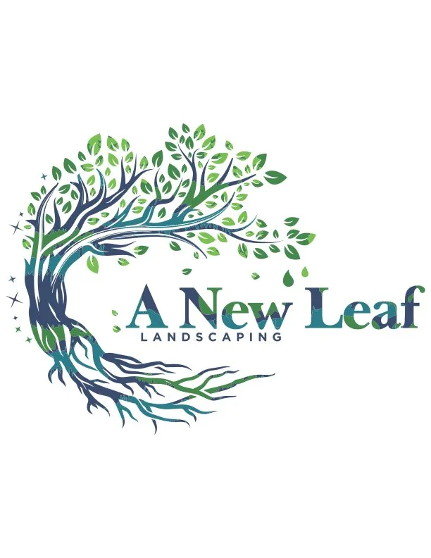 Top-rated landscape design experts serving Loxahatchee, FL - A New Leaf Landscaping
