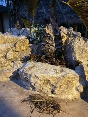 A New Leaf Landscaping Logo