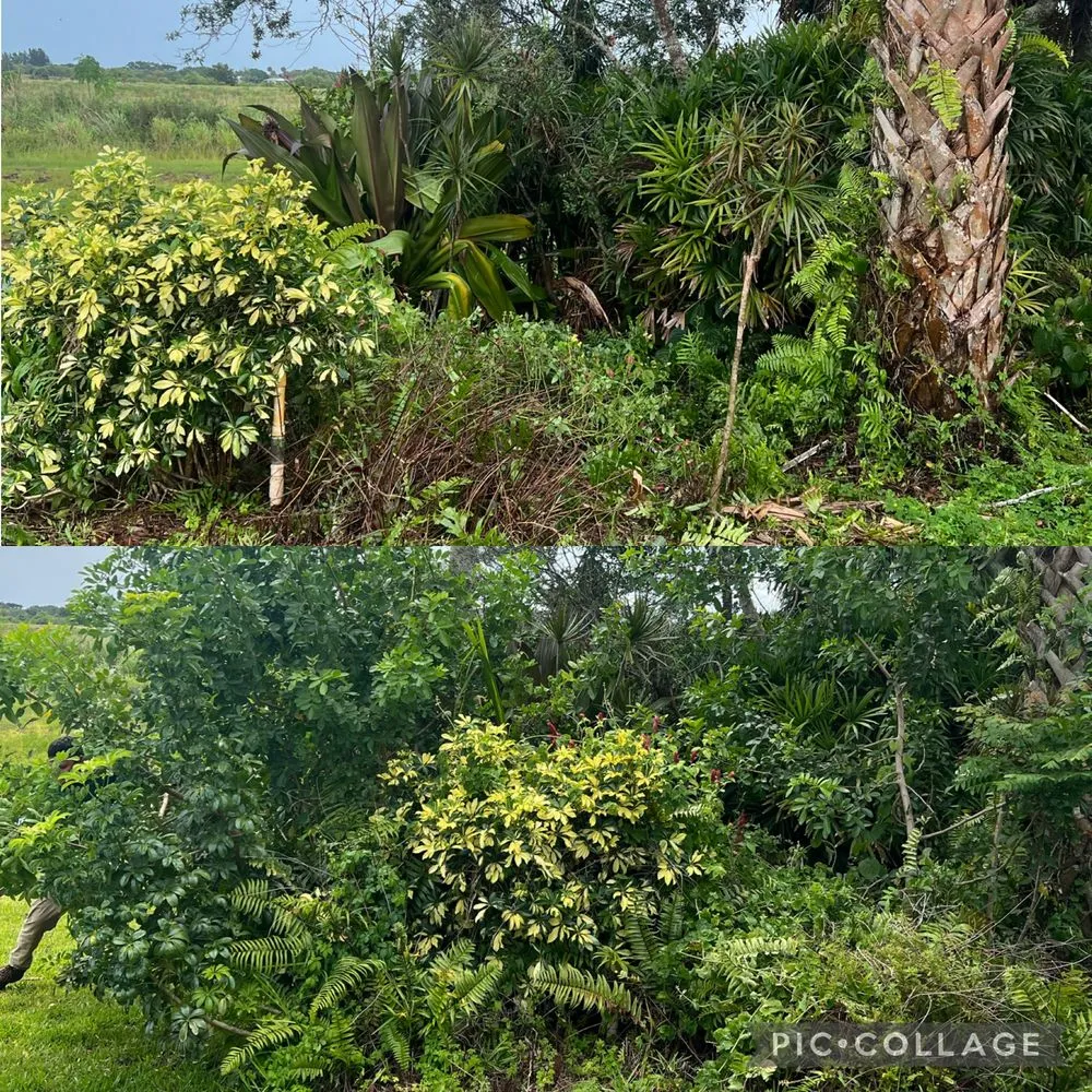 Trusted residential landscaping for beautiful yards in Vero Beach, FL by A New Life Lawn Care & More