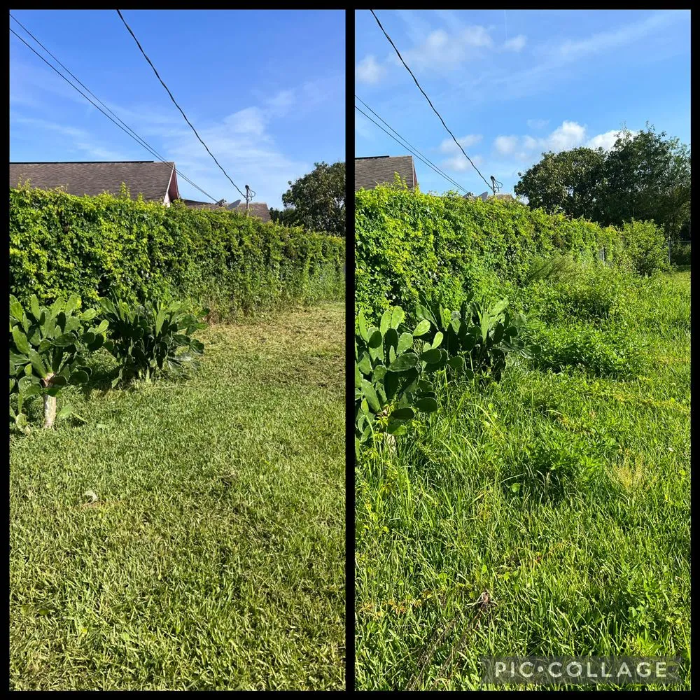 Local lawn mowing service in Vero Beach, FL - A New Life Lawn Care & More