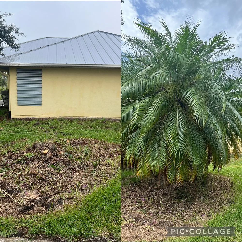 Professional lawn care service in Vero Beach, FL - A New Life Lawn Care & More