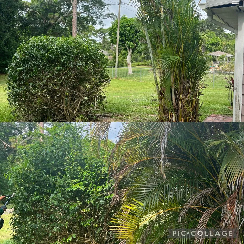 Reliable lawn mowing service in Vero Beach, FL by A New Life Lawn Care & More