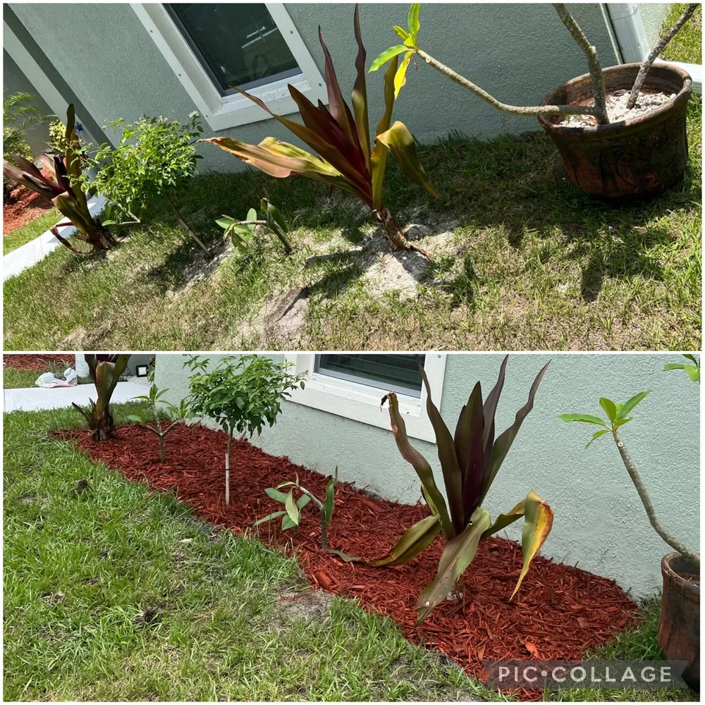 Affordable residential landscaping experts serving Vero Beach, FL - A New Life Lawn Care & More