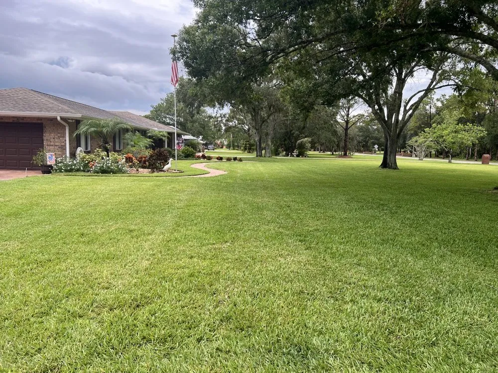 Custom lawn care service in Vero Beach, FL - A New Life Lawn Care & More