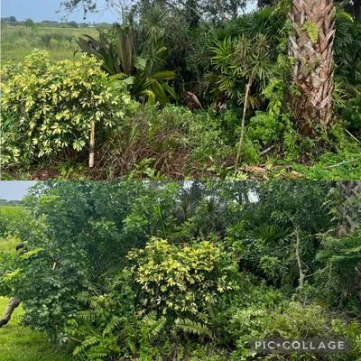 A New Life Lawn Care & More Logo