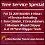 Professional landscaping services with custom design across Huntington Station, NY - A New Sunrise Tree & Lawn Service