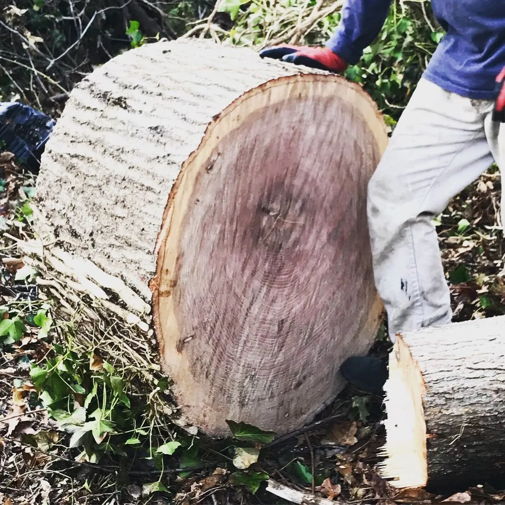 Trusted garden landscaping experts serving Huntington Station, NY - A New Sunrise Tree & Lawn Service