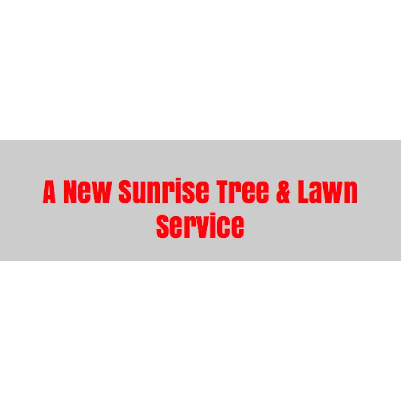 Professional yard maintenance experts serving Huntington Station, NY - A New Sunrise Tree & Lawn Service