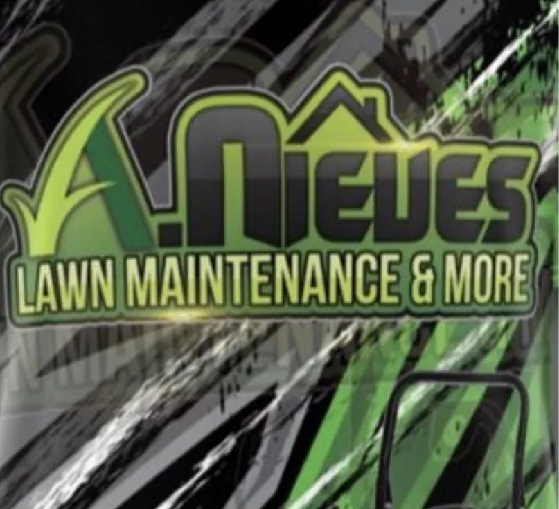 Reliable outdoor landscaping with custom design across Deltona, FL - A. Nieves lawn maintenance and Dumpster rental