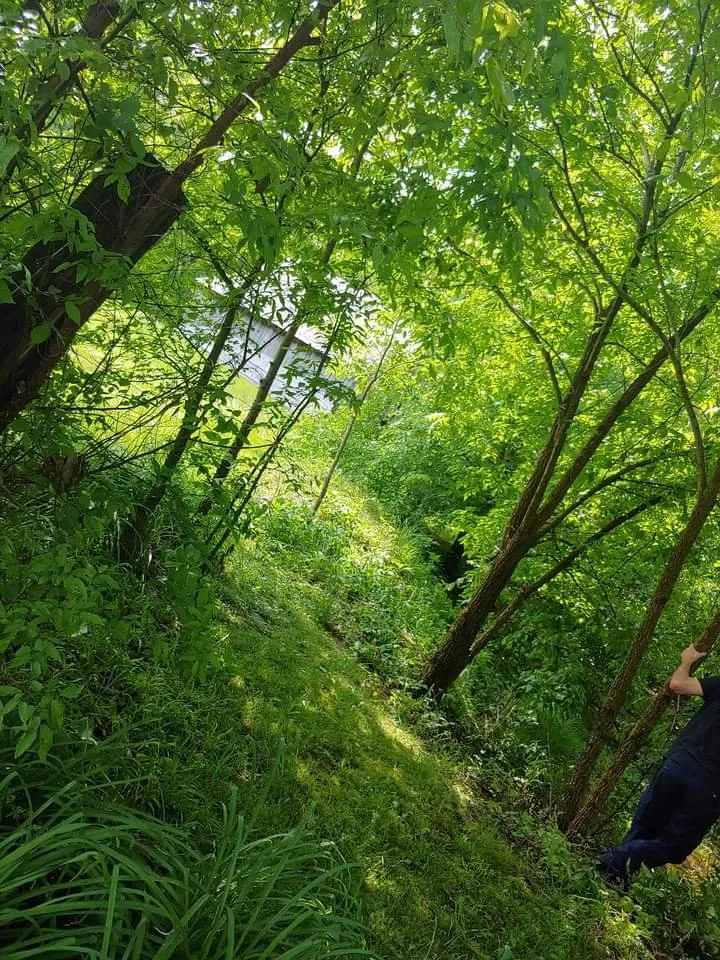 Reliable outdoor landscaping for homes across Princeton, KY - A Notch Above