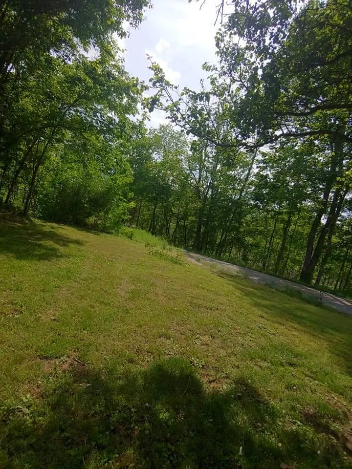 Trusted yard maintenance in Princeton, KY by A Notch Above