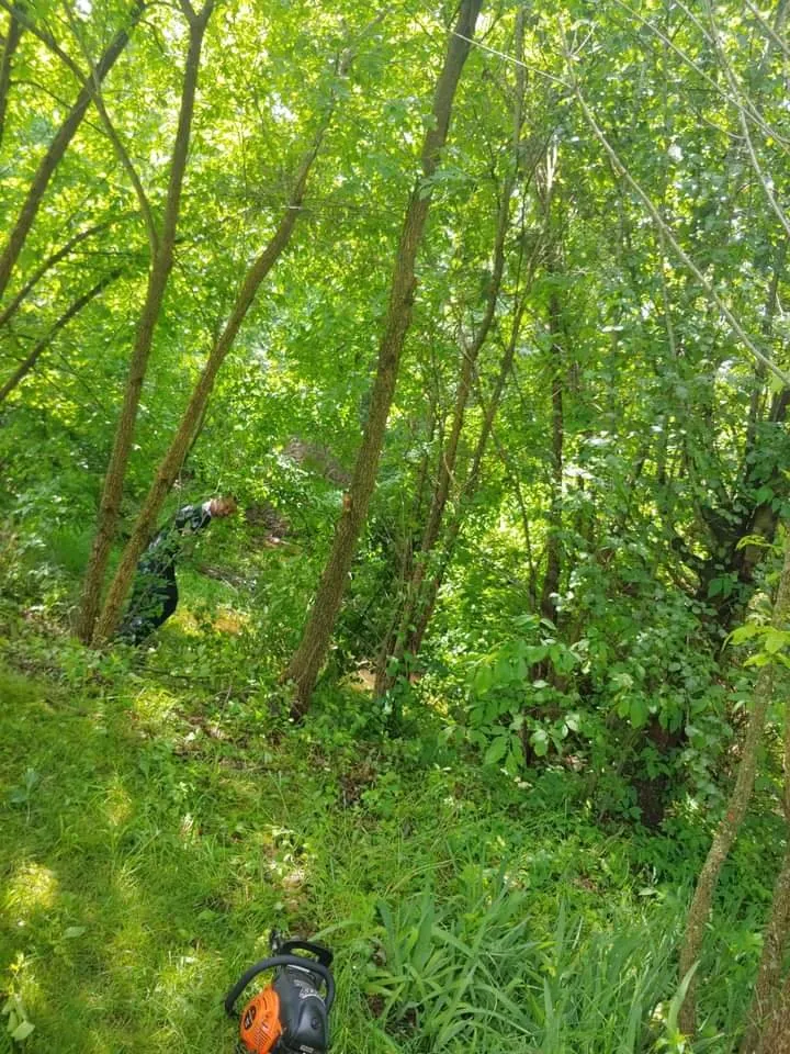 Expert residential landscaping in Princeton, KY by A Notch Above