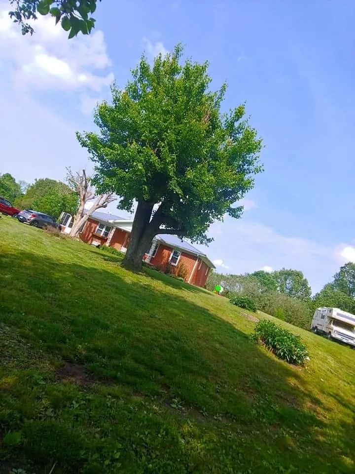 Custom lawn mowing service experts serving Princeton, KY - A Notch Above