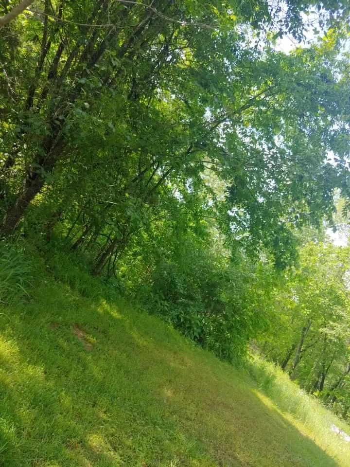 Top-rated outdoor landscaping experts serving Princeton, KY - A Notch Above