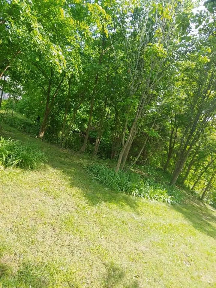 Top-rated yard maintenance in Princeton, KY by A Notch Above