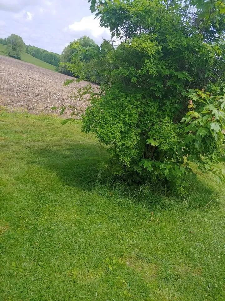 Professional lawn care service for residential properties across Princeton, KY - A Notch Above