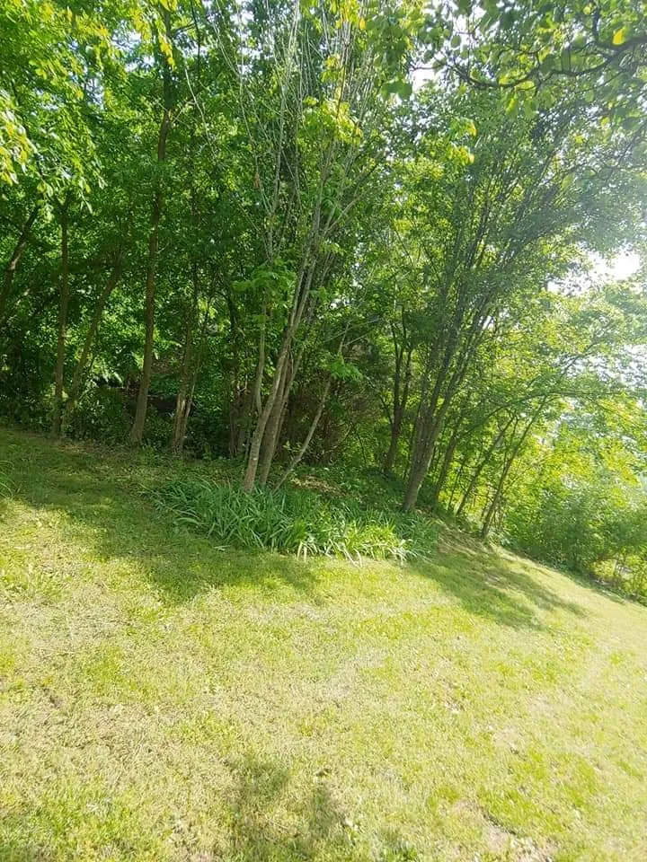 Reliable lawn care service in Princeton, KY by A Notch Above