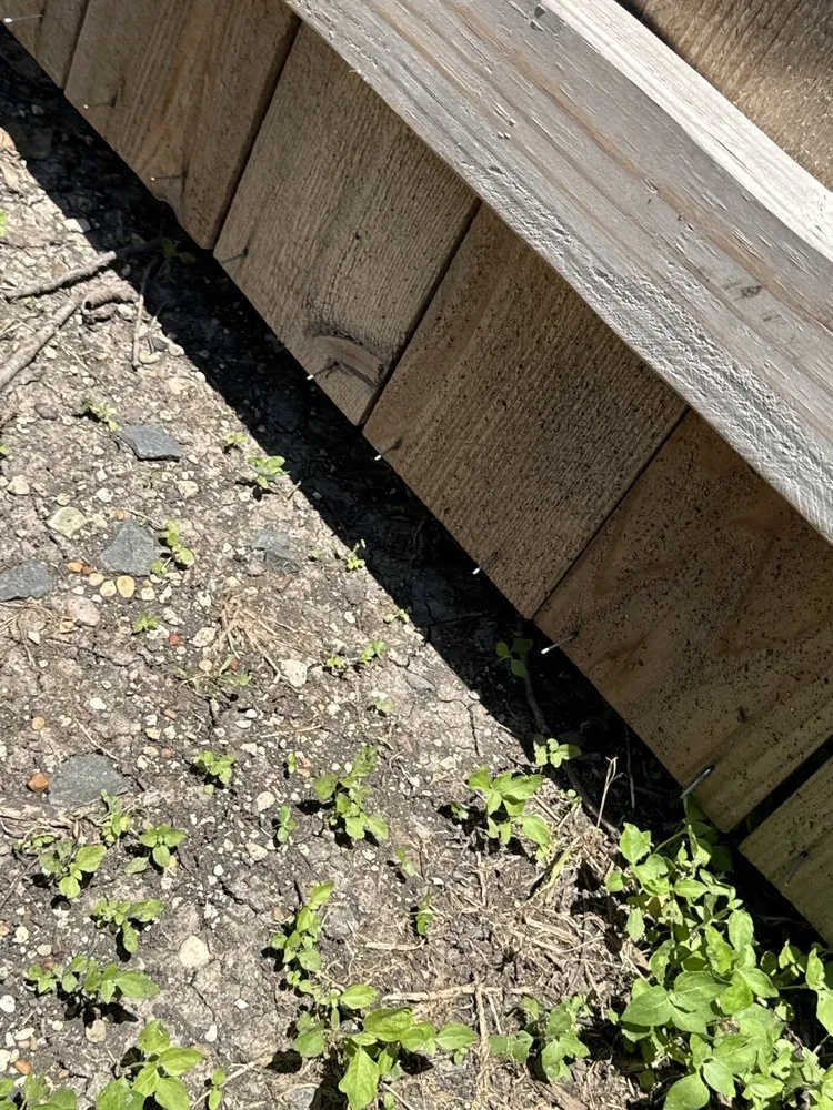 Affordable landscape installation in Waxahachie, TX by A Oasis Pools and Outdoor Living