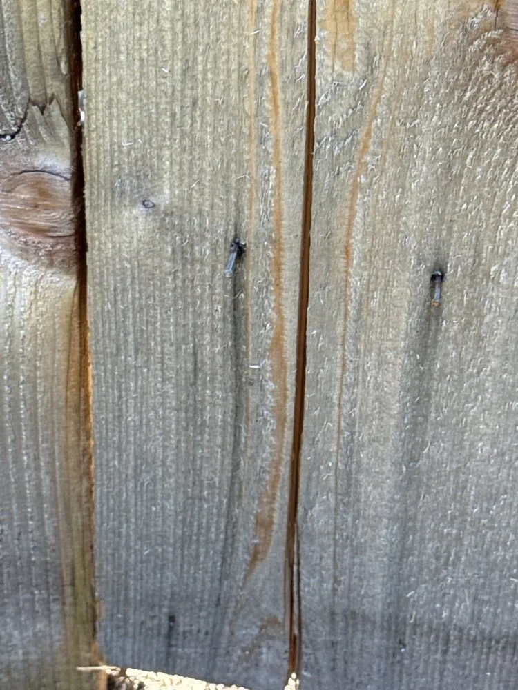 Professional outdoor landscaping in Waxahachie, TX - A Oasis Pools and Outdoor Living