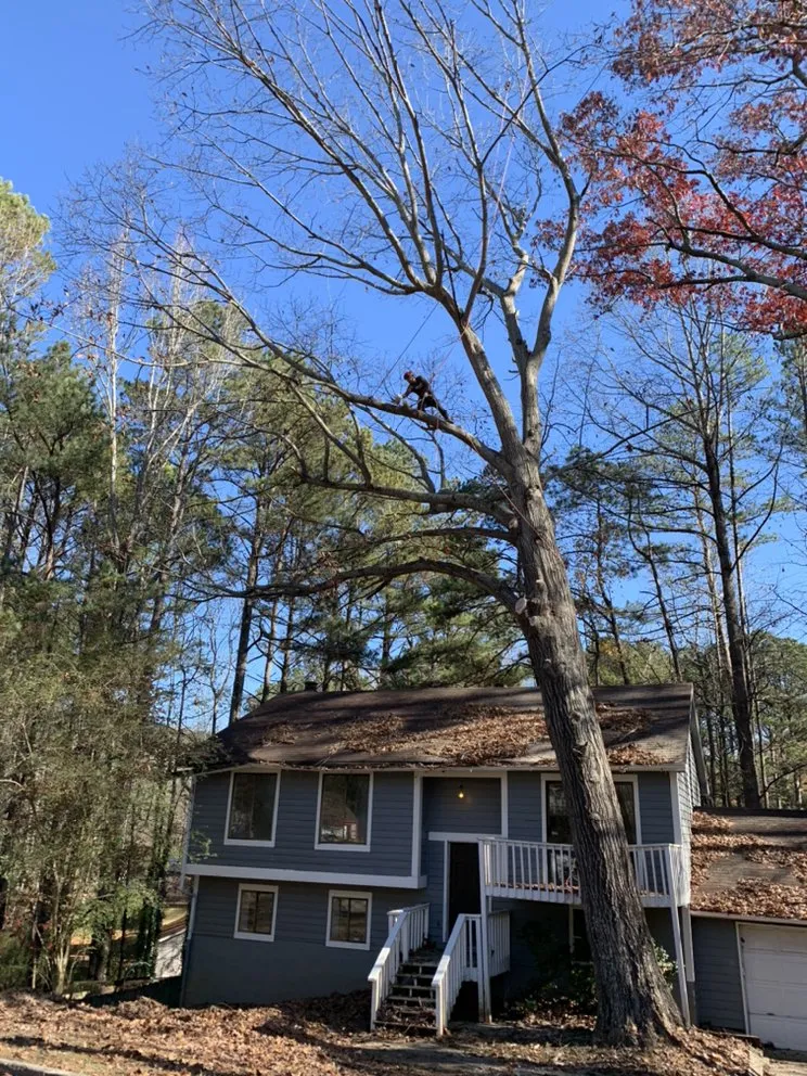 Top-rated outdoor landscaping in Woodstock, GA - A-OK Tree & Landscape