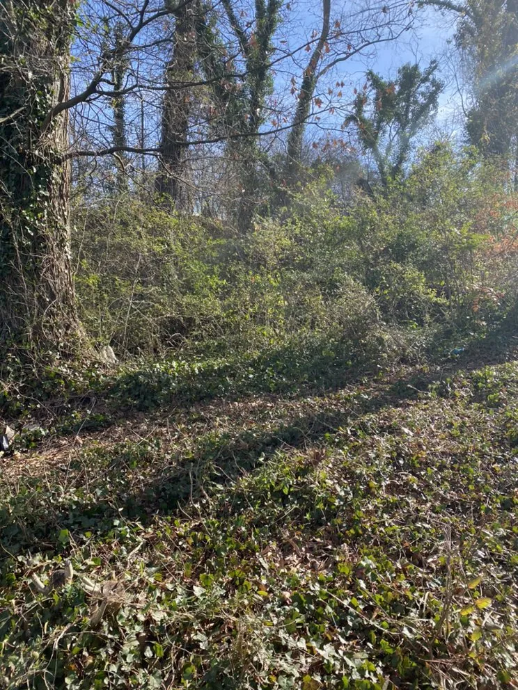 Professional landscape design in Woodstock, GA - A-OK Tree & Landscape