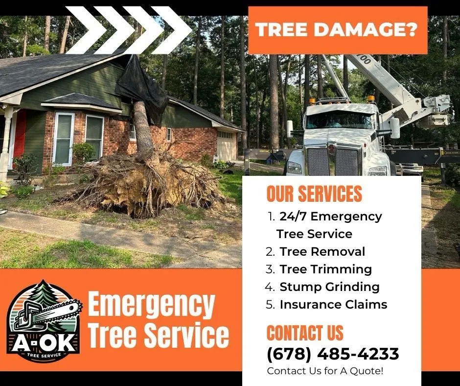 Expert landscape design for beautiful yards across Woodstock, GA - A-OK Tree & Landscape