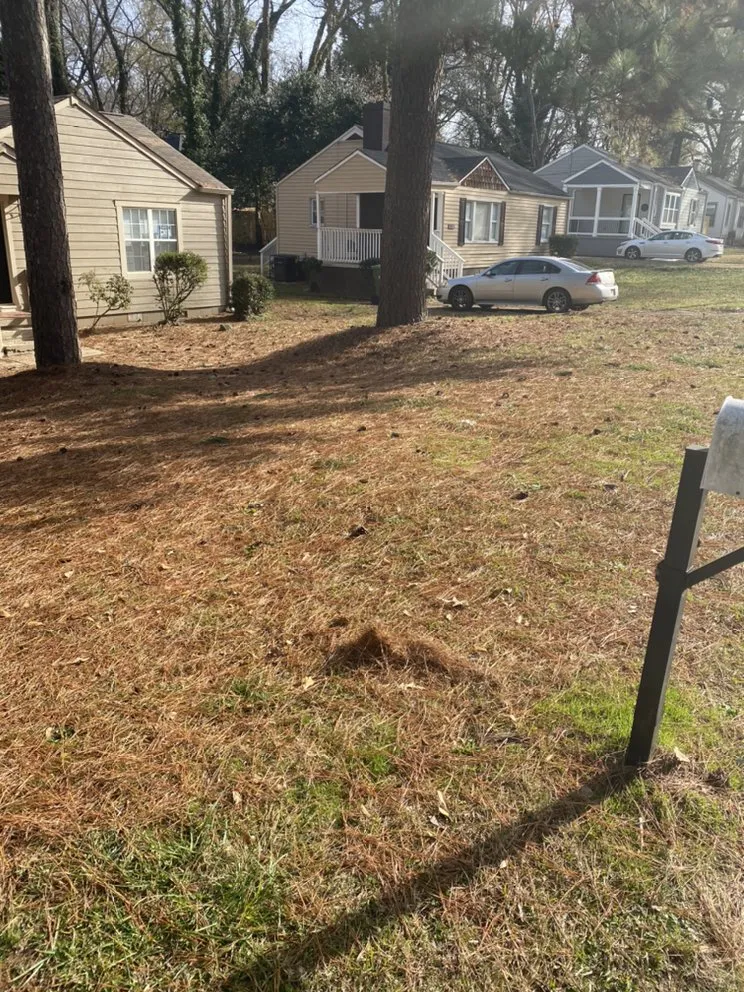 Trusted yard cleanup service in Woodstock, GA by A-OK Tree & Landscape