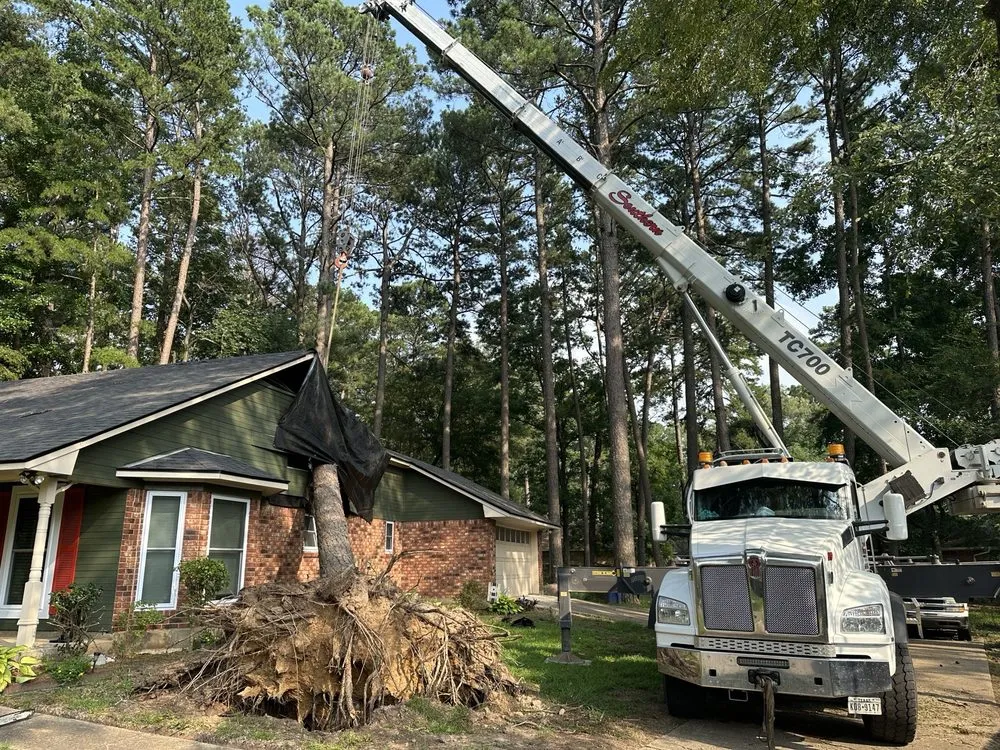 Affordable landscape installation for outdoor upgrades in Woodstock, GA by A-OK Tree & Landscape