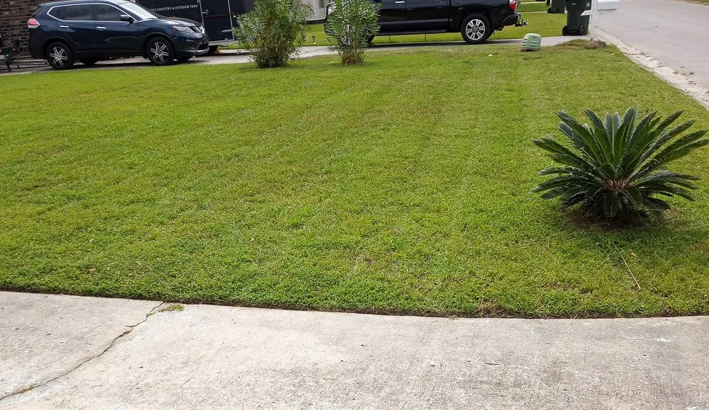 Reliable garden landscaping for beautiful yards across Goose Creek, SC - A-One Landscapes