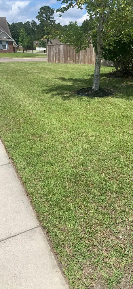 Reliable garden landscaping for beautiful yards in Goose Creek, SC by A-One Landscapes