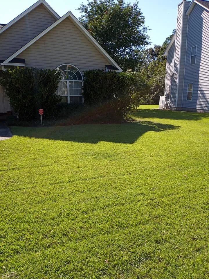 Local residential landscaping experts serving Goose Creek, SC - A-One Landscapes